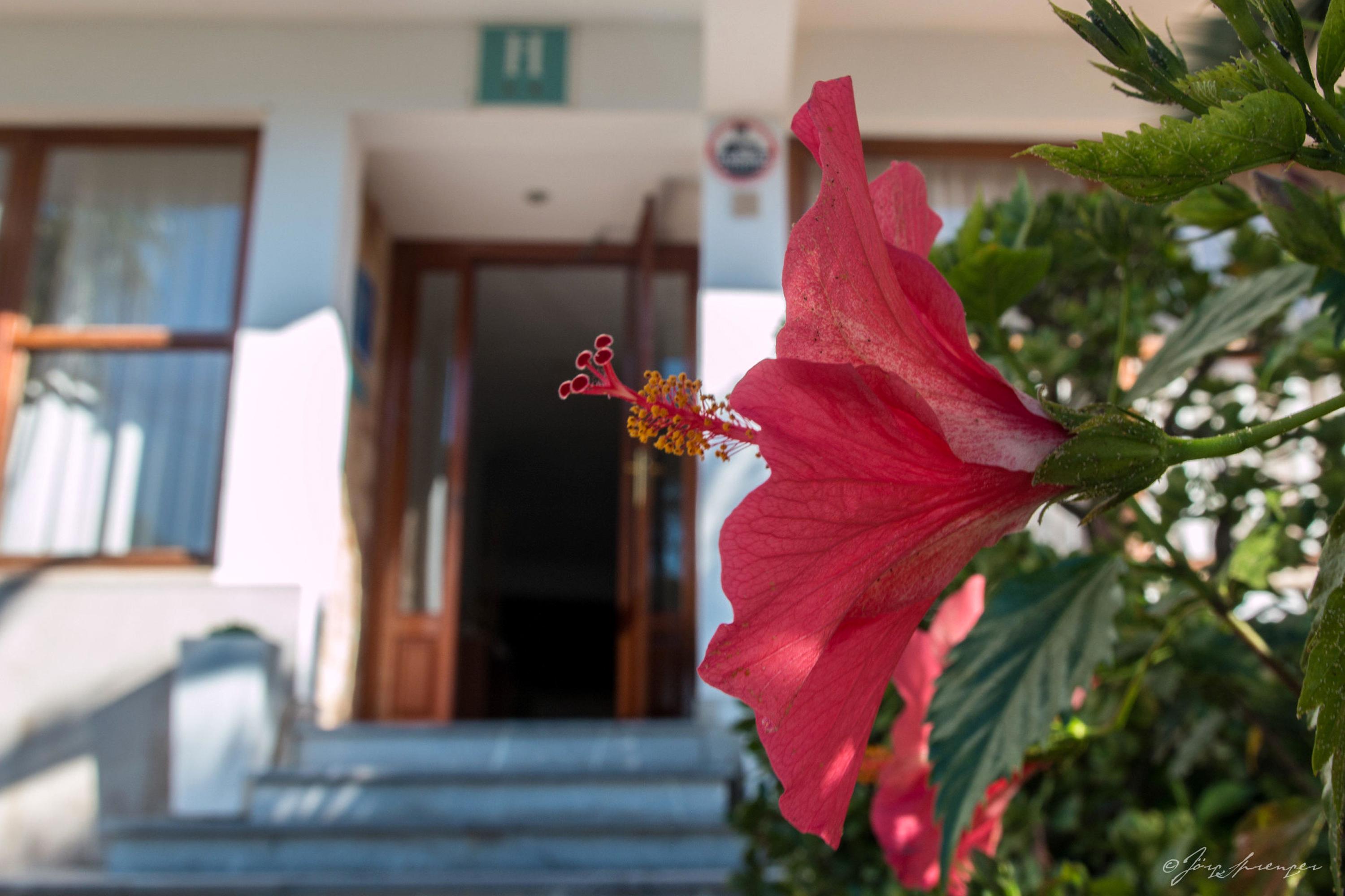Hotel Santanyi Port Cala Figuera  Eksteriør billede